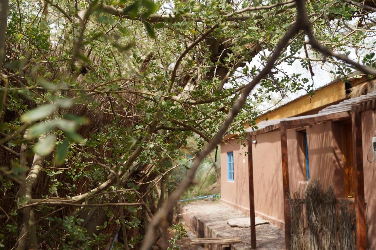 Atacama Lodge Rukazen Rustico 圣佩德罗·德·阿塔卡马 外观 照片